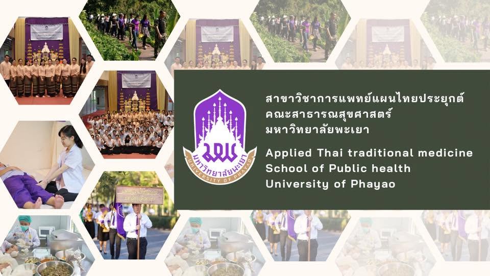 หลักสูตรการแพทย์แผนไทยประยุกต์บัณฑิต